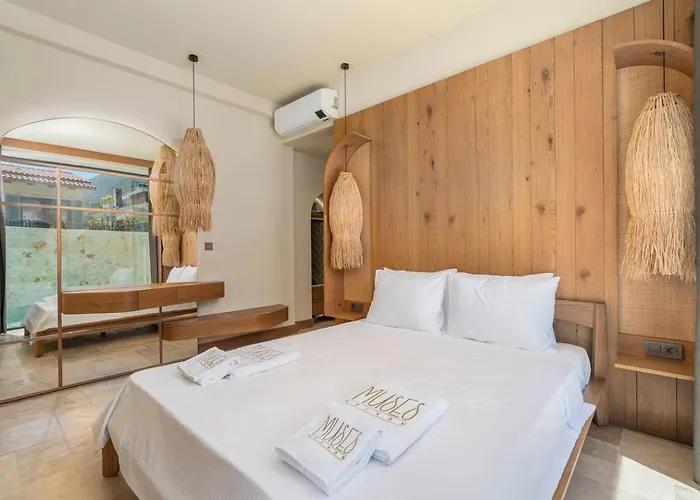 A Lyric Retreat Of Romance, Erato Willa Kaş